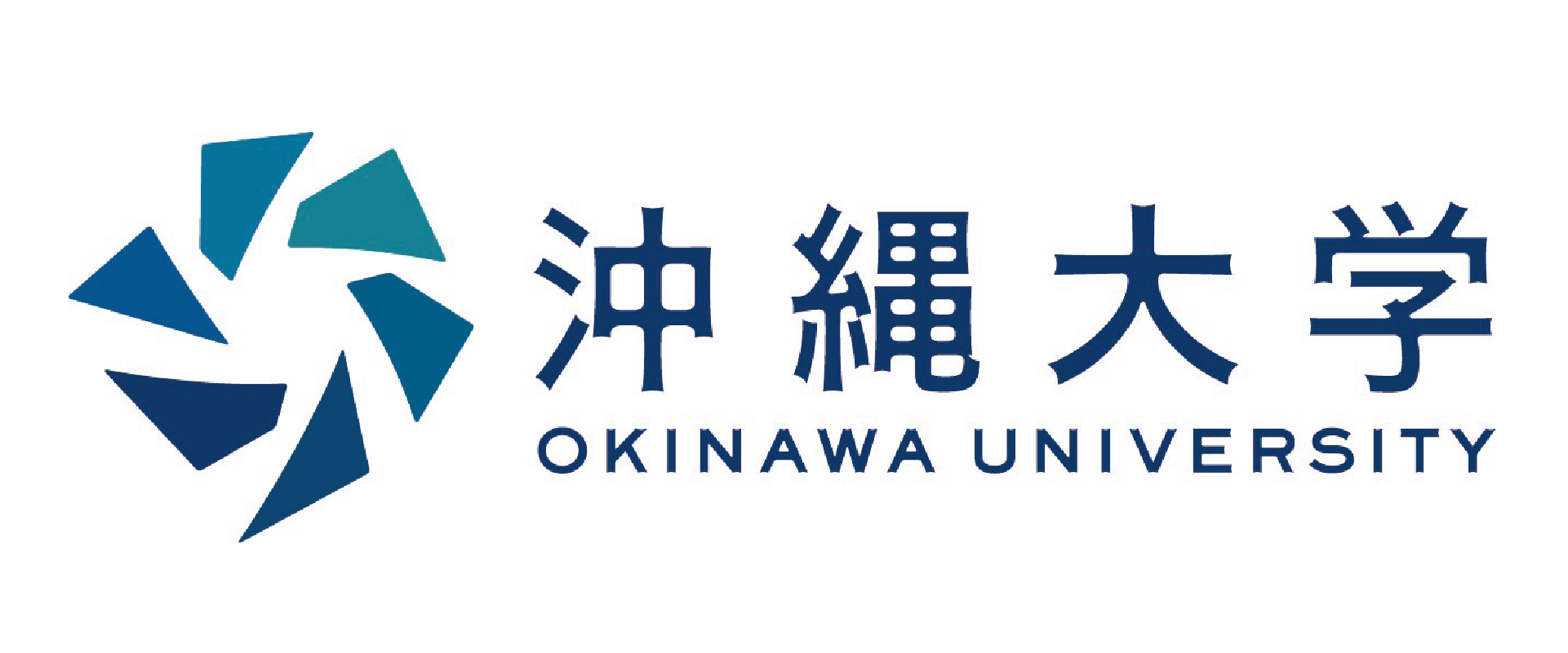 Logo 163
