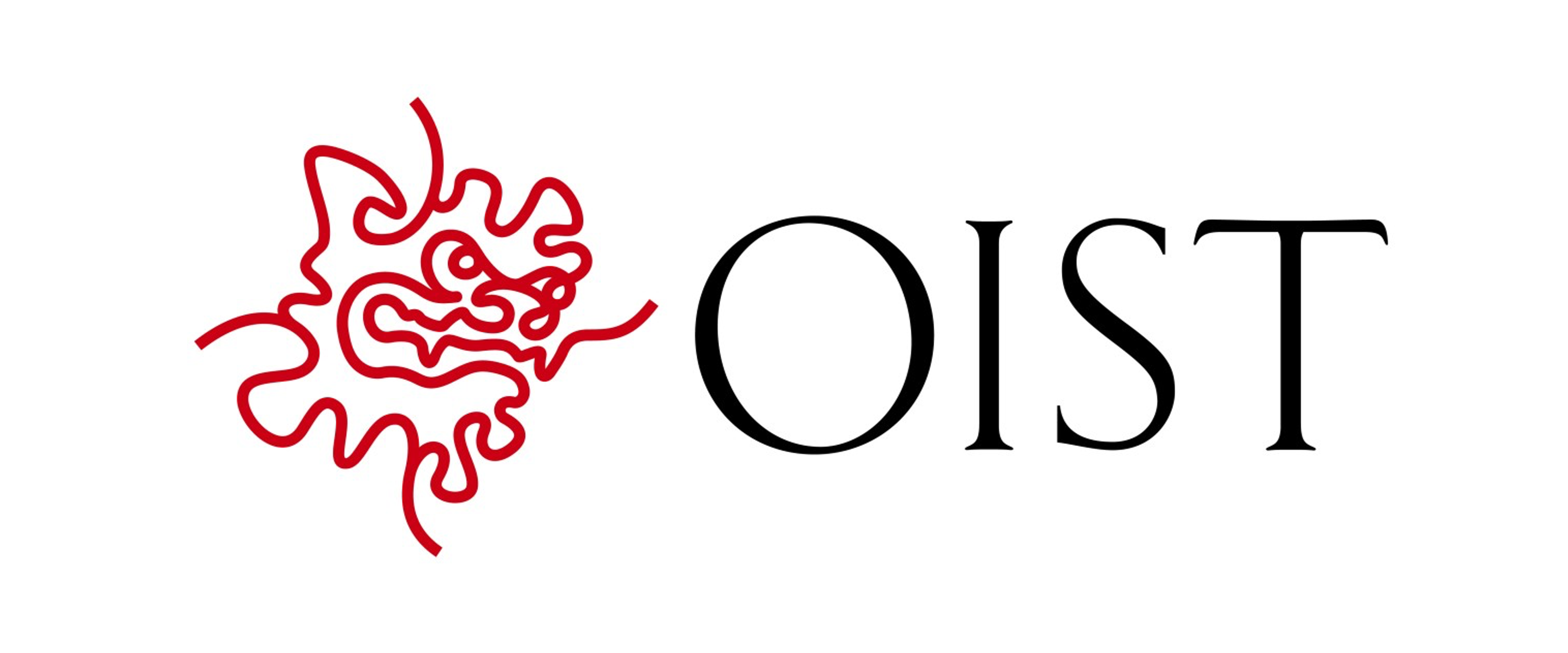Logo 204
